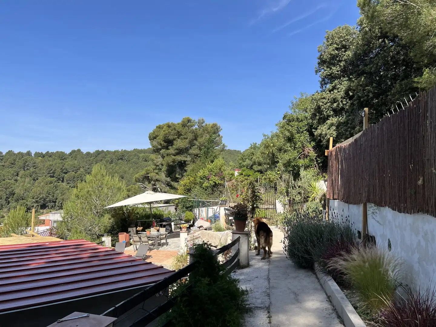 Casa o xalet en venda a ARBOLI, Almoster