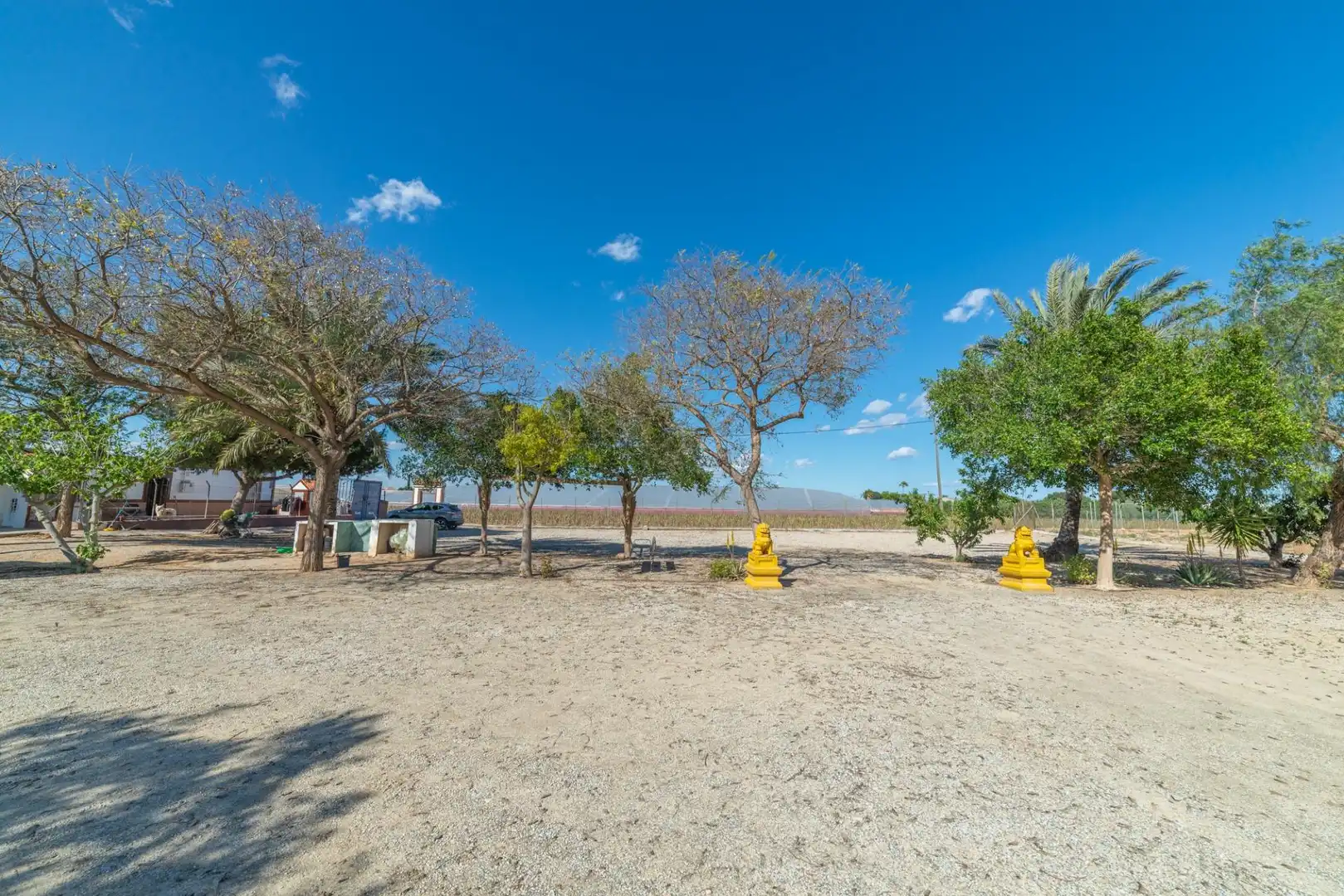 Finca rústica en venda a Balsicas