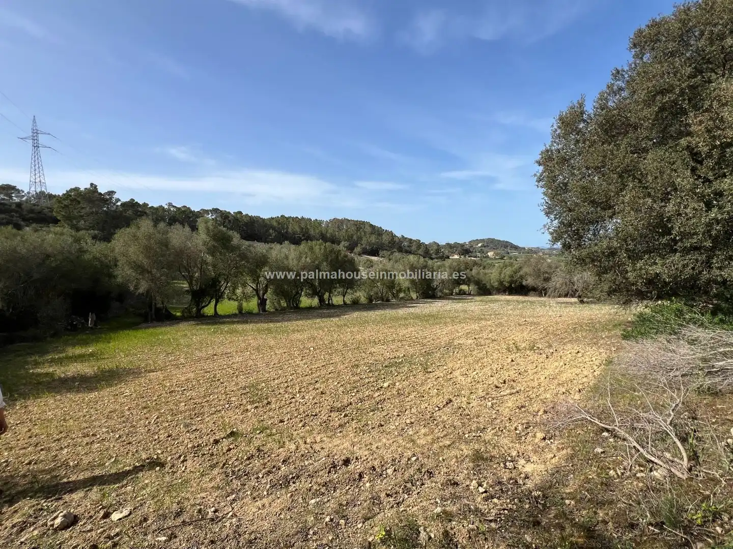 Finca rústica en venta en Maria de la Salut con Calefacción y Terraza