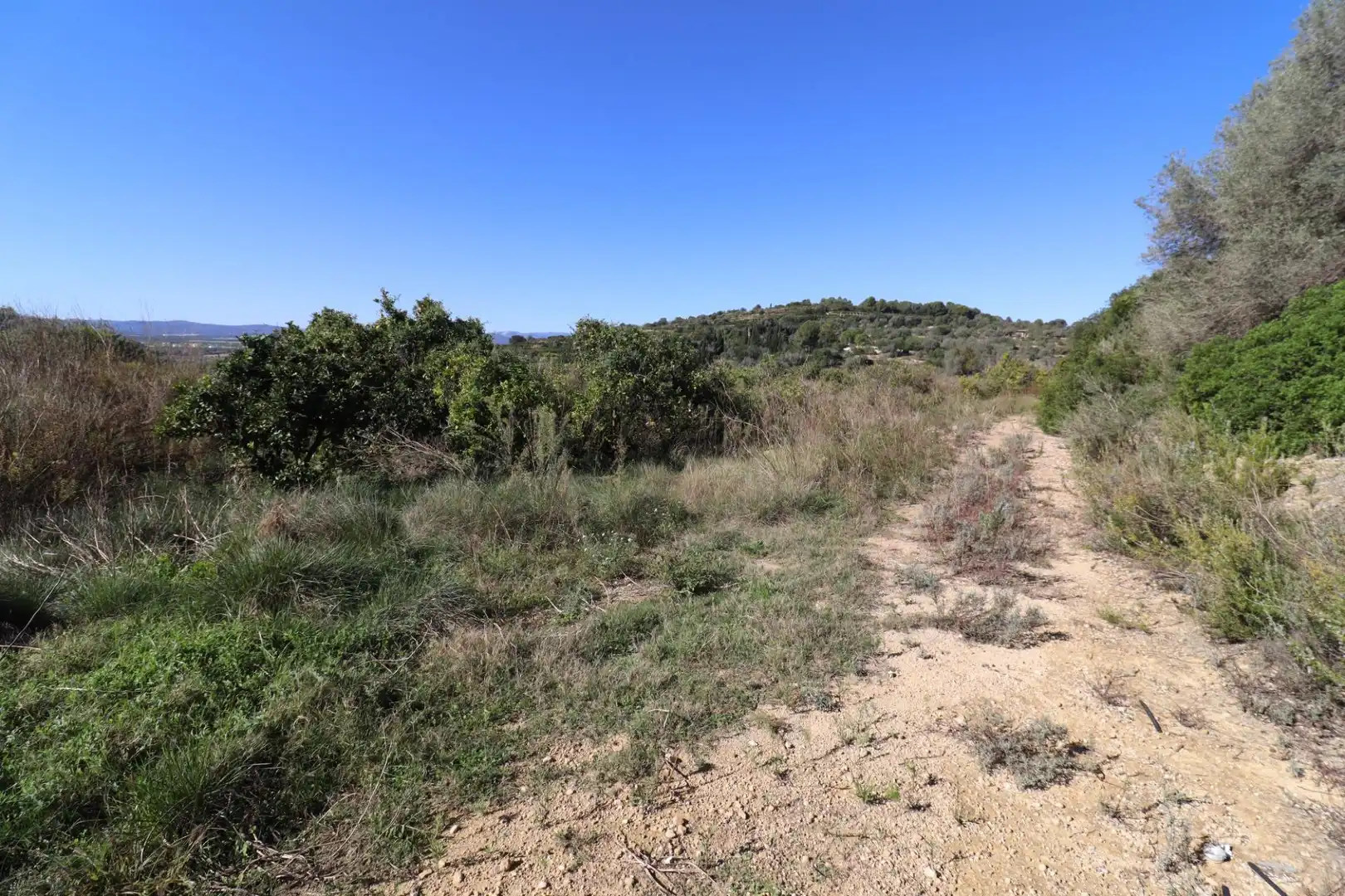Grundstücke zum Verkauf in Ulldecona