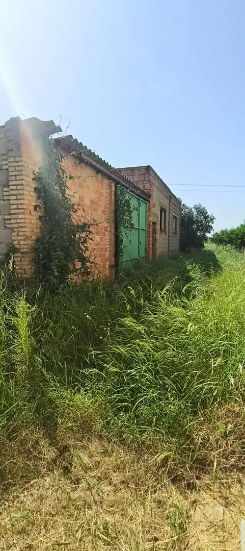 Vista exterior de Casa o xalet en venda en Picassent