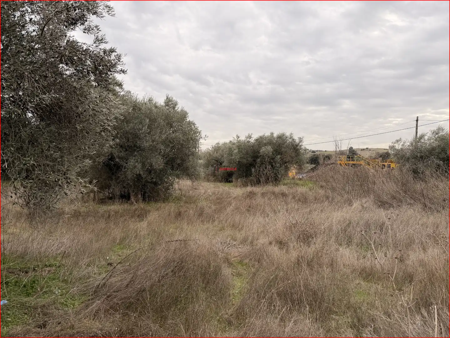 Rural land for sale in La Torre de Esteban Hambrán, imagen 2