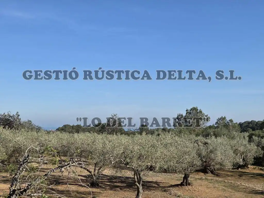Finca rústica en venda en L'Ampolla amb Terrassa