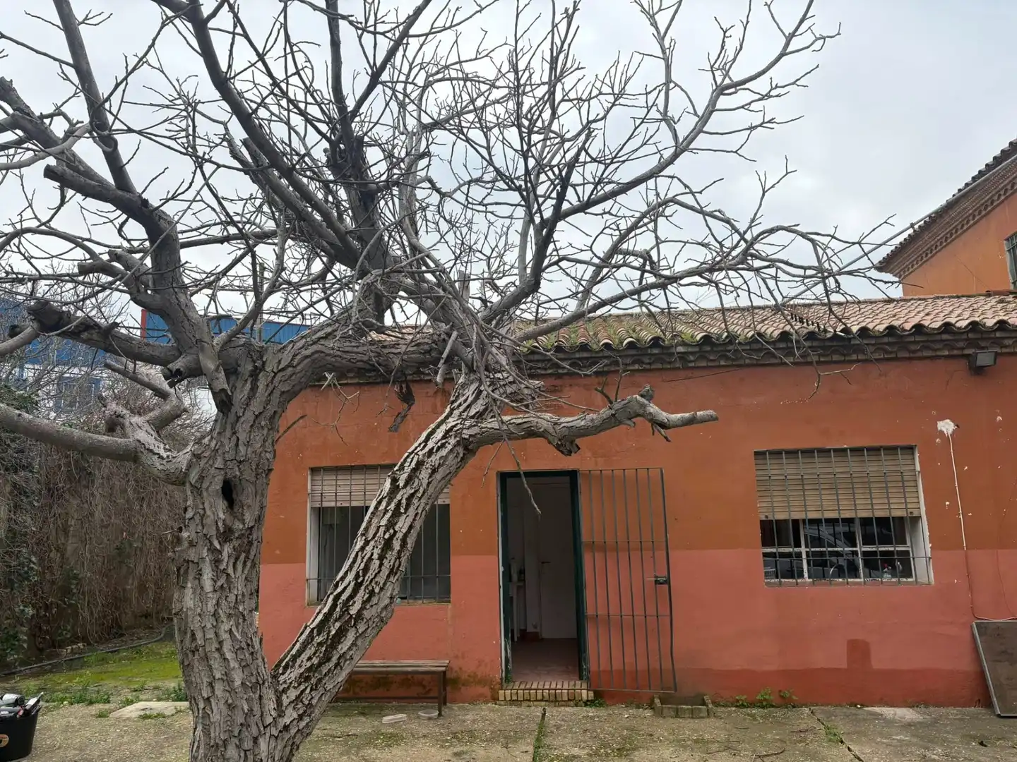 Vista exterior de Casa o xalet en venda en Écija