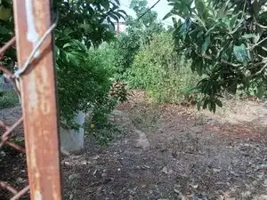 Residencial en venta en Teror pueblo