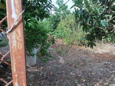 Terreno residencial en venta en Calle Higuera Negra 1