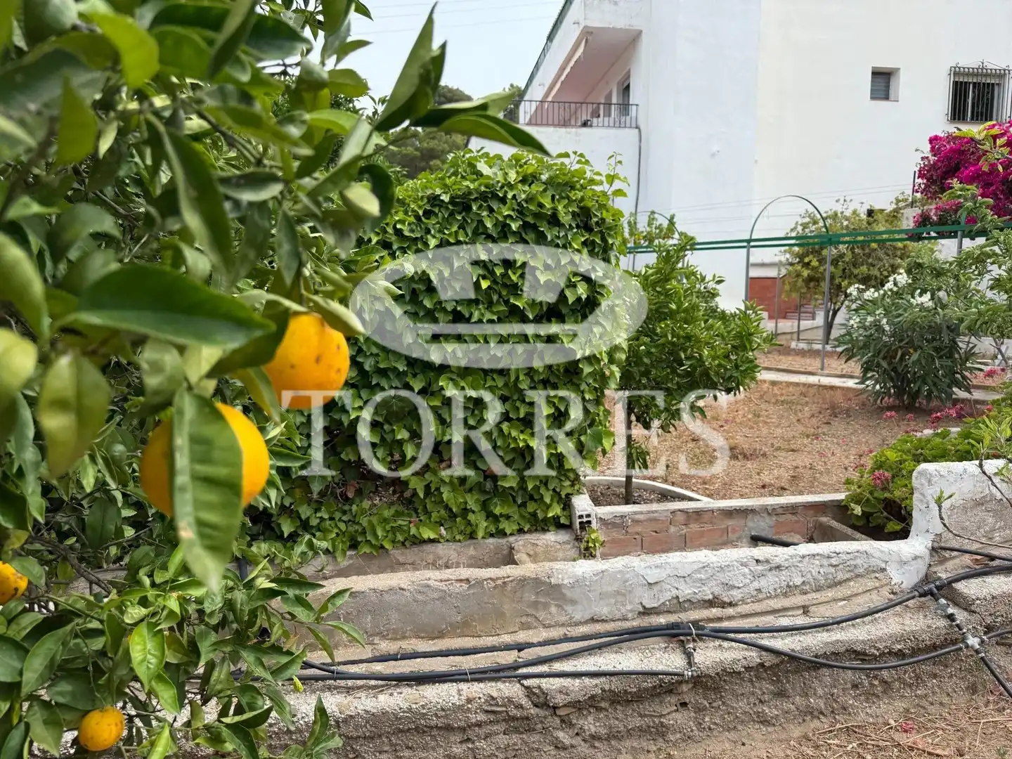 Jardín de Casa o chalet en venta en Málaga con Terraza, Trastero y Piscina