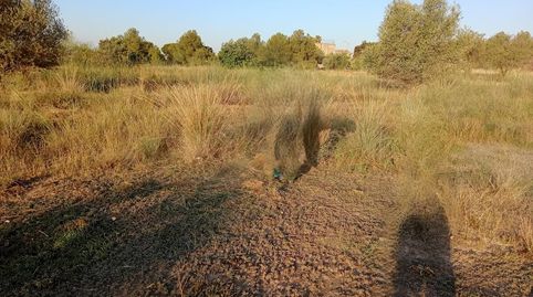 Foto 2 de Residencial en venta en 49, Parcela, 269 y 270, -1, Rascanya, La Pobla de Vallbona