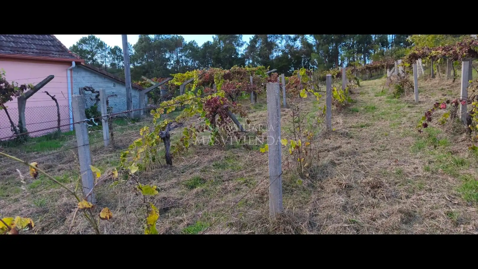 Casa o xalet en venda a Salvaterra de Miño