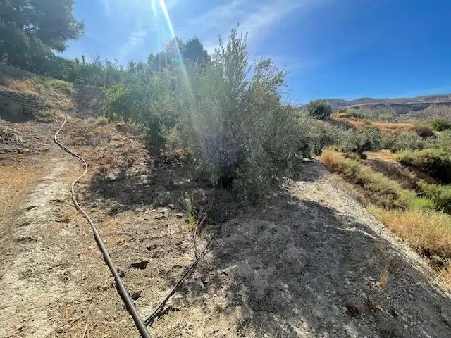 Terreno rustico in vendita a Calle Rio de Terque 2, imagen 7
