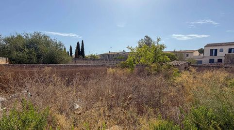 Un lugar especial para un estilo de vida especial proyecto de villas autorizado en Ariany. Ref. 9821, imatge 3