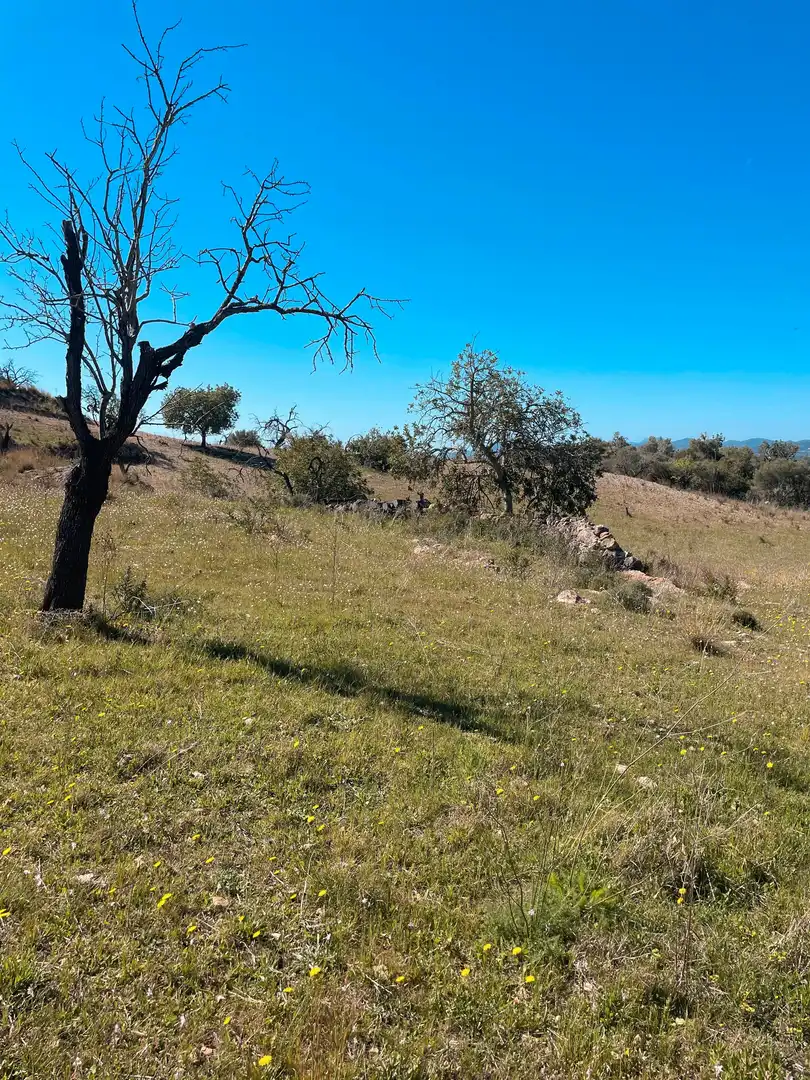 Rural land for sale in Sant Llorenç des Cardassar, imagen 2