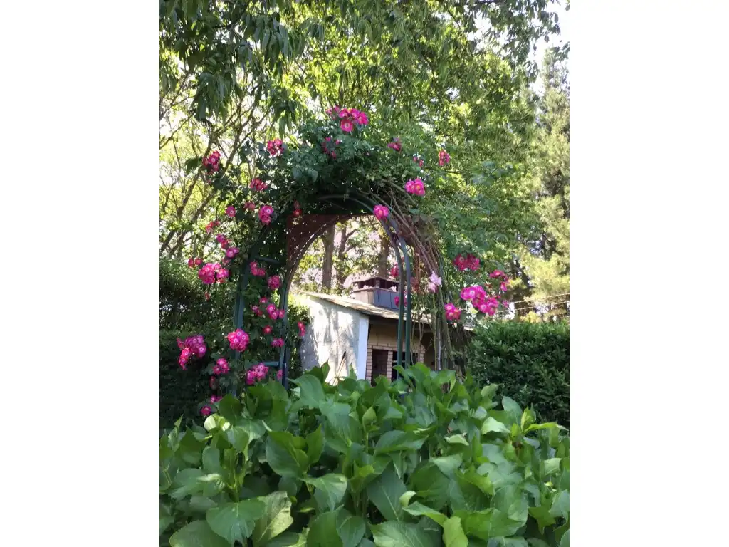 Garten von Haus oder Chalet zum Verkauf in Lugo