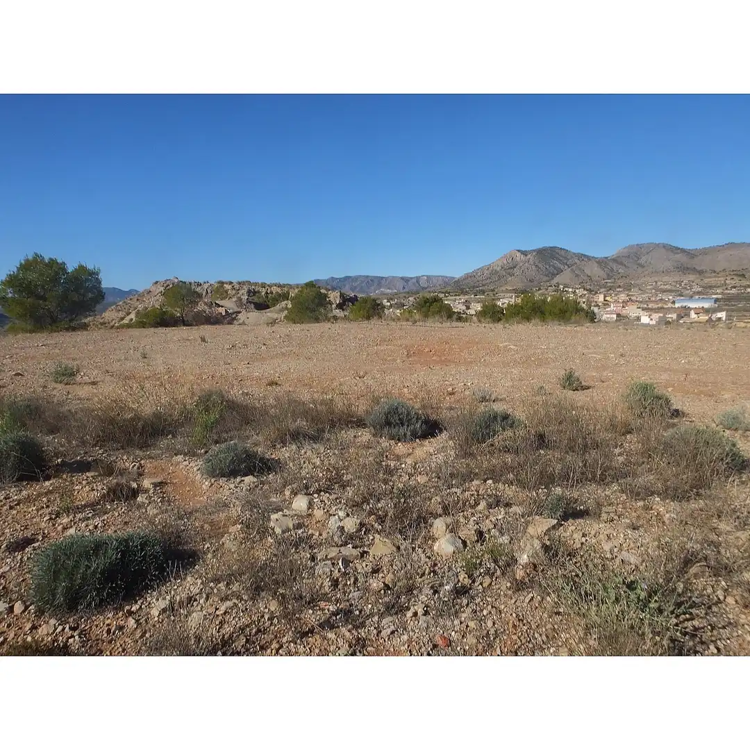 Lands and plots for sale in Abanilla, imagen 9