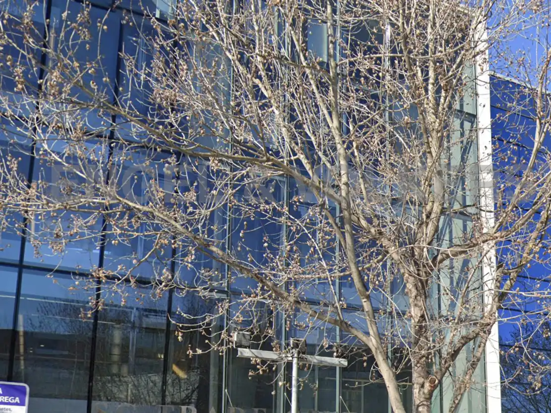 Oficina en venta en L'Eixample, imagen 15