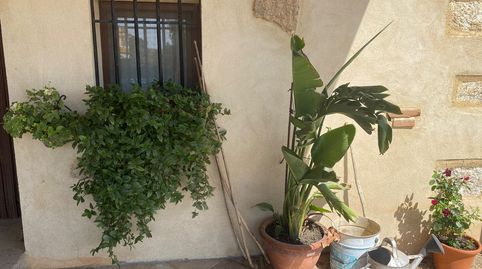 Finca de 15 has con casa  de 90 m2 en Oropesa Toledo., immagine 3