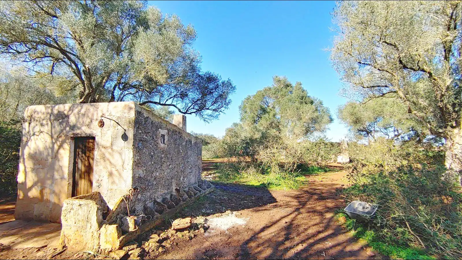 Terrenys i solars en venda a Felanitx Poble, imagen 10