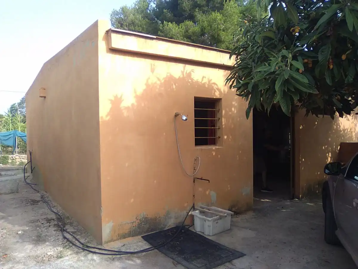 Vista exterior de Finca rústica en venta en Sagunto / Sagunt