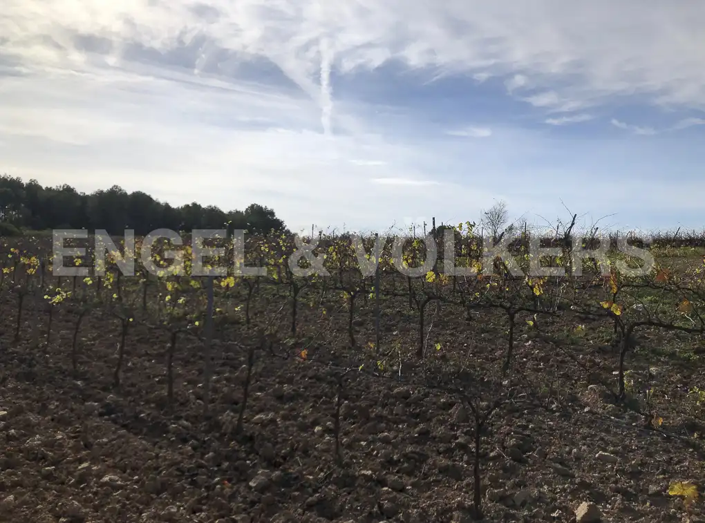 Terreny residencial en venda a Avinyonet del Penedès, imagen 12