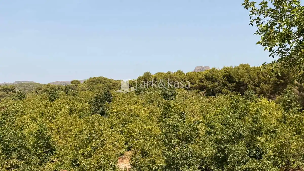 Casa o chalet de alquiler en Sagunto / Sagunt con Aire acondicionado, Jardín privado y Terraza