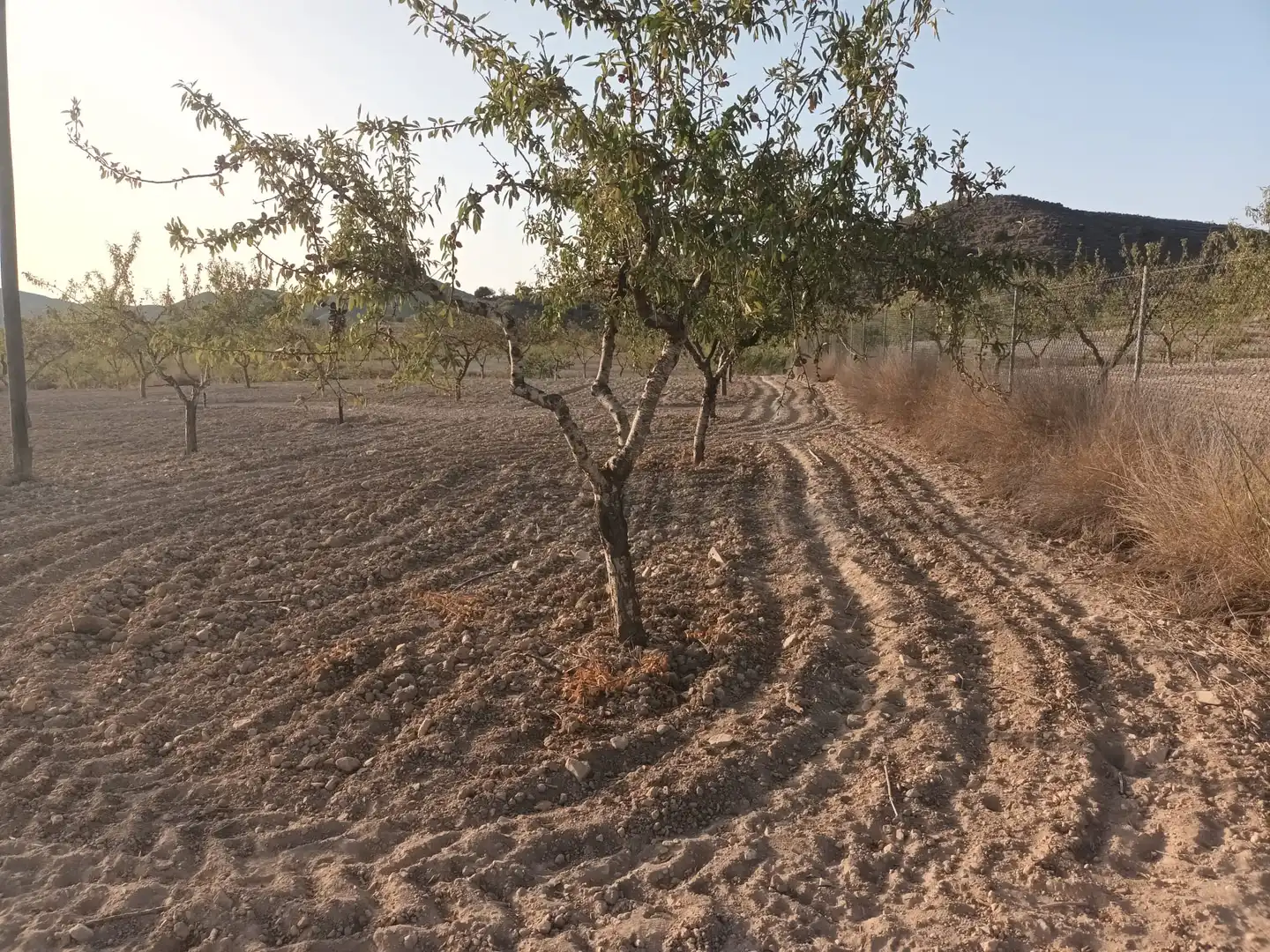 Terreno rustico in vendita a Lugar las Barrenas 6, imagen 37