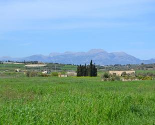 Vista exterior de Terreny en venda en Santa Margalida