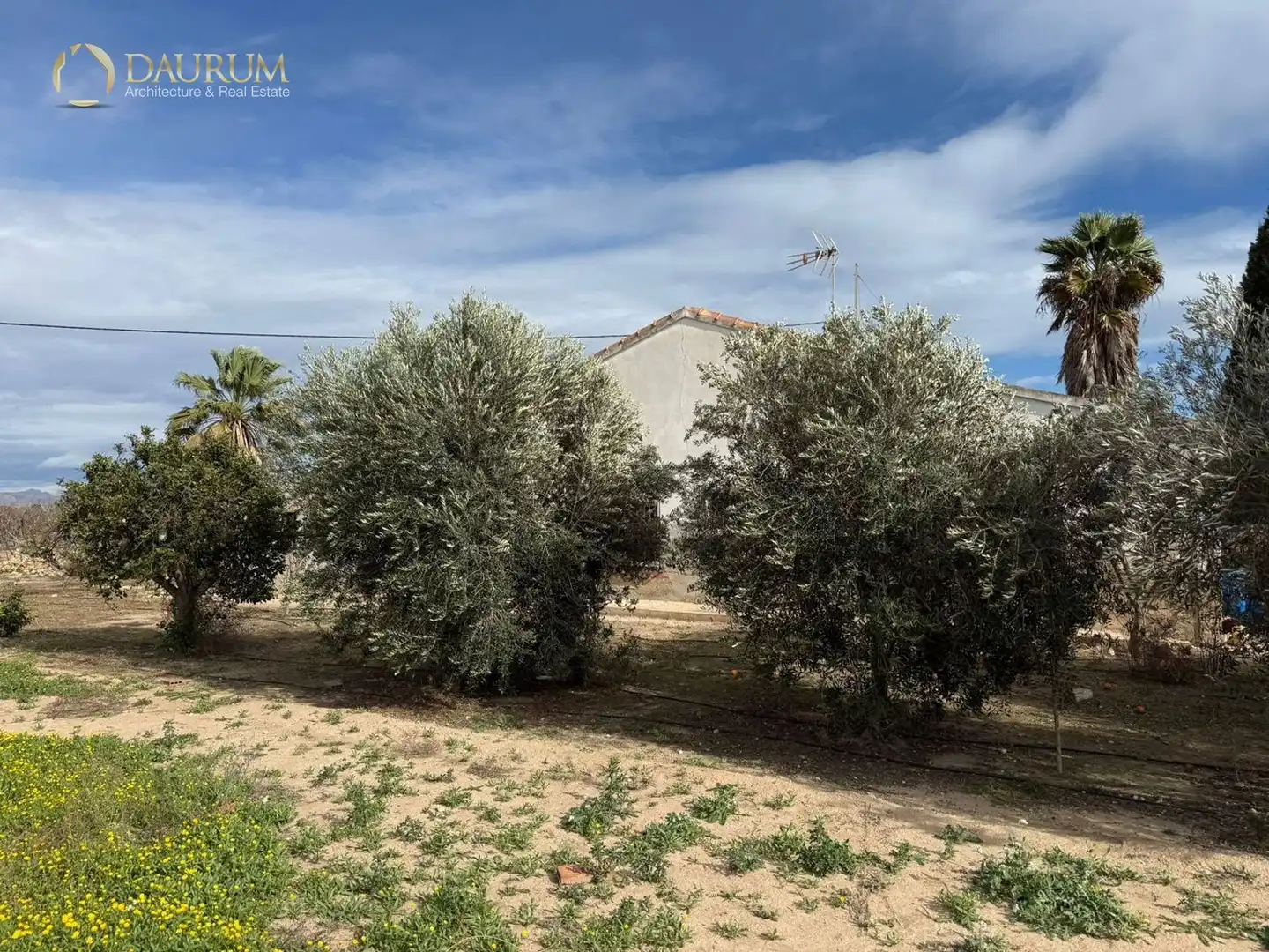 Casa o xalet en venda en Elche / Elx amb Aire condicionat i Terrassa
