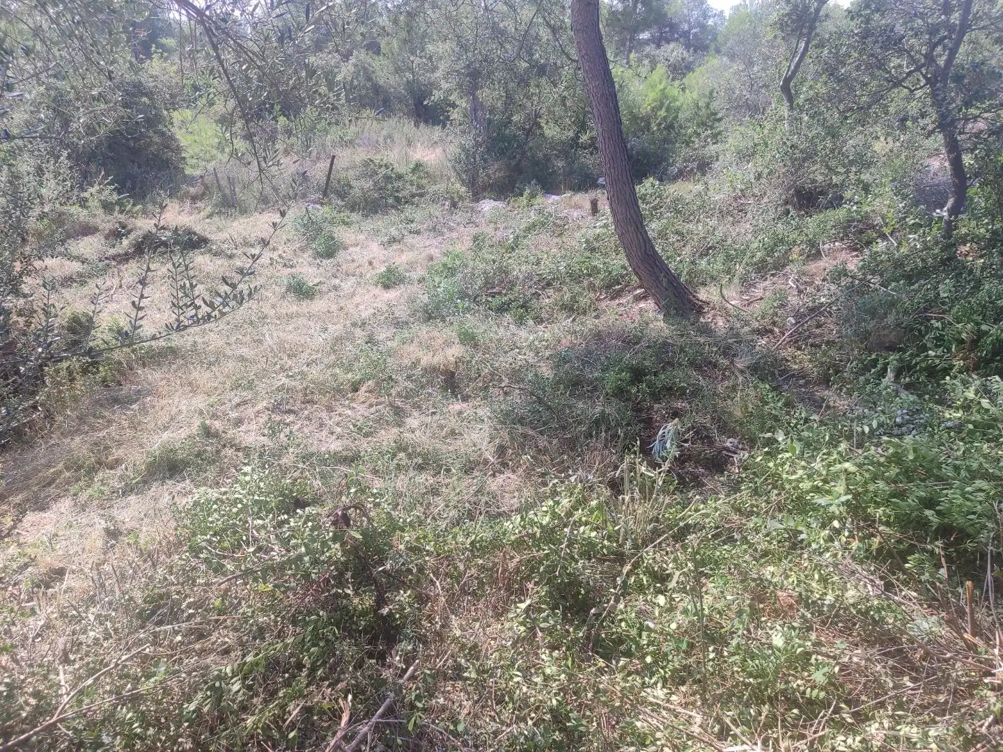 Wohnbaugrundstück zum Verkauf in Carrer Garraf 102, imagen 10