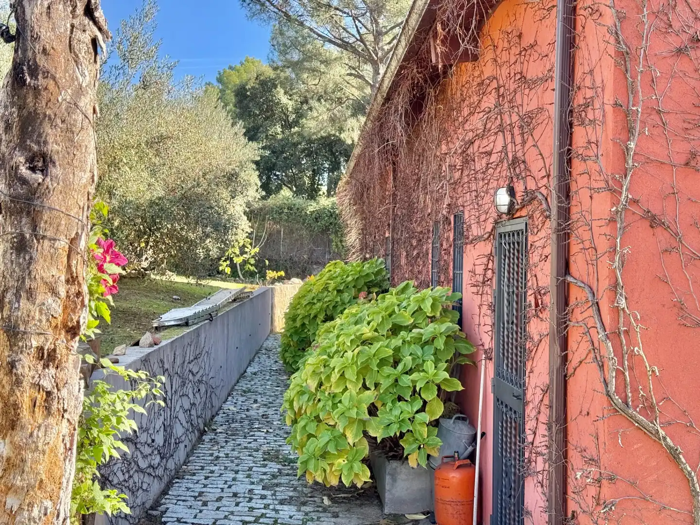Jardín de Finca rústica en venta en Piedralaves con Jardín privado, Terraza y Trastero