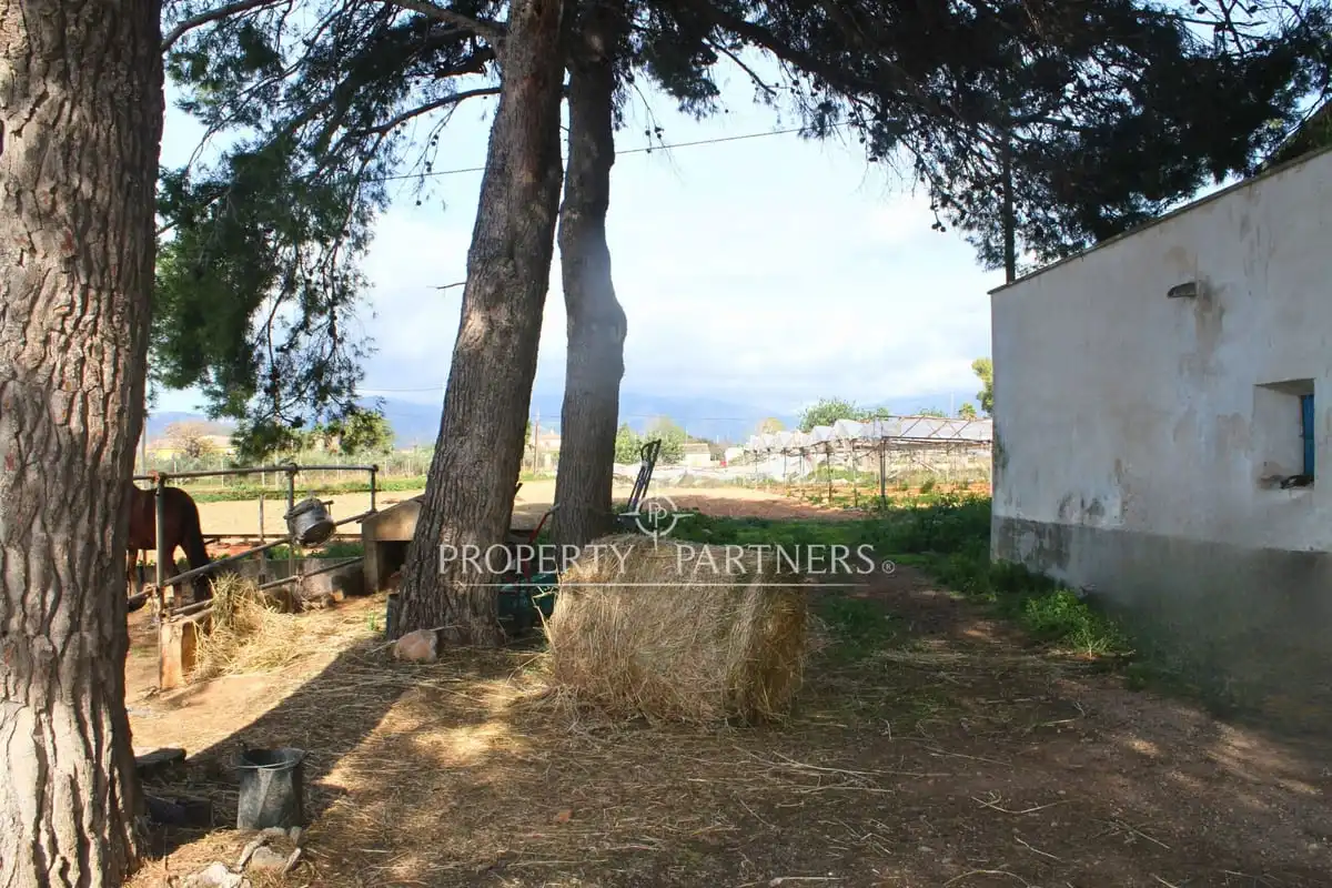 Xalet amb jardí en venda a Son Nebot, imagen 5