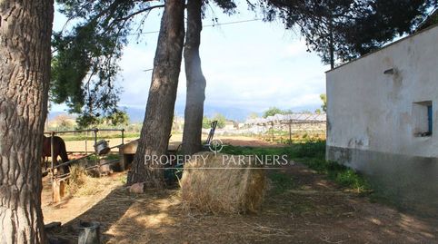 Auténtica finca mallorquina de 1872 con gran potencial de reforma y sistema de regadío., imatge 5