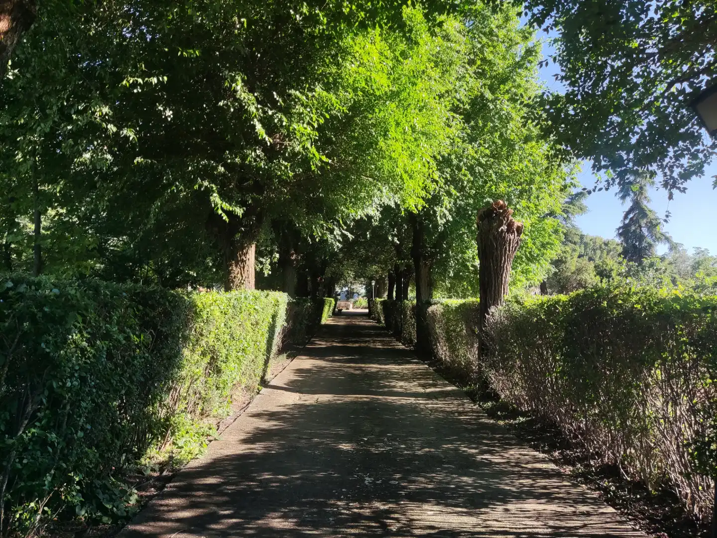 Vista exterior de Casa o xalet en venda en Ciudad Real amb Aire condicionat, Calefacció i Jardí privat