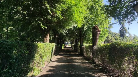 Foto 4 de Casa o xalet en venda a Carretera de Piedrabuena, Ciudad Jardín, Ciudad Real Capital
