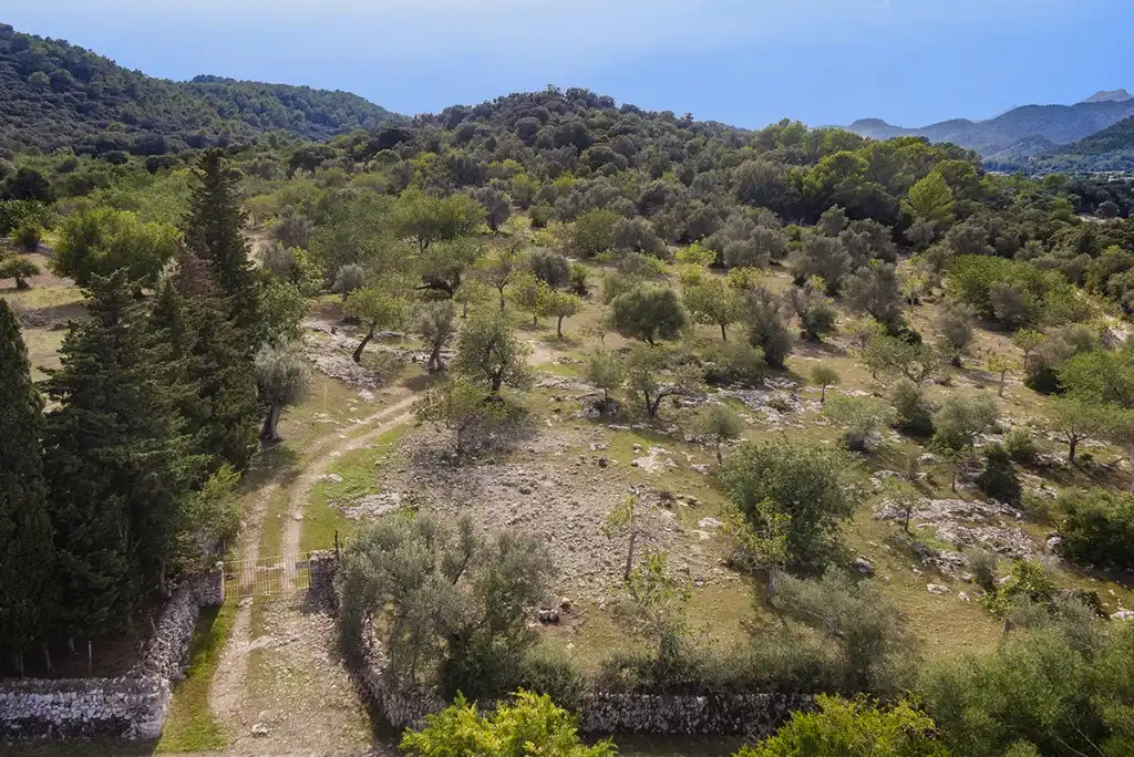 Terreno rustico in vendita a Pollença Poble, imagen 2