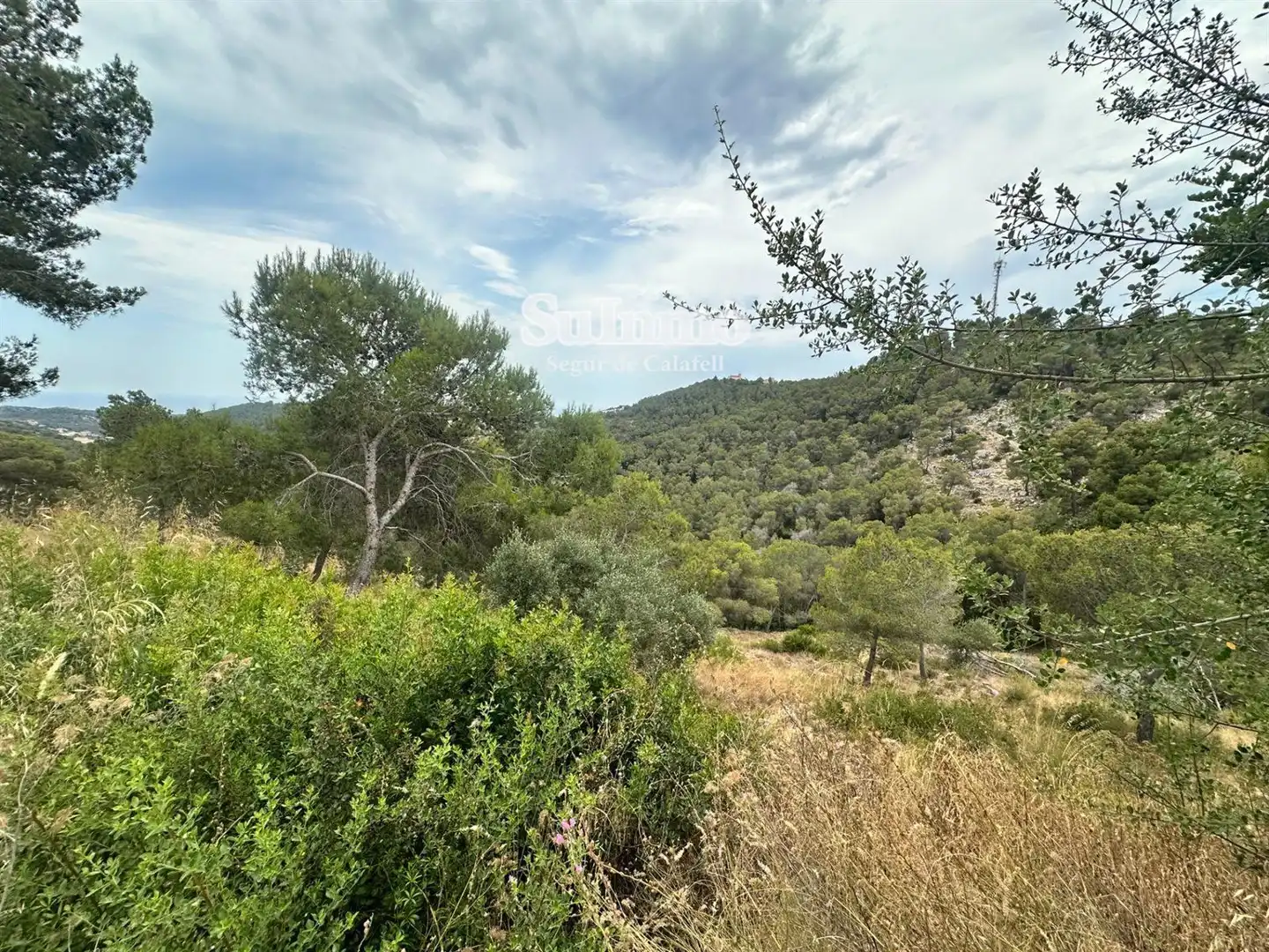 Terreny rústic en venda a Tarragona, imagen 3
