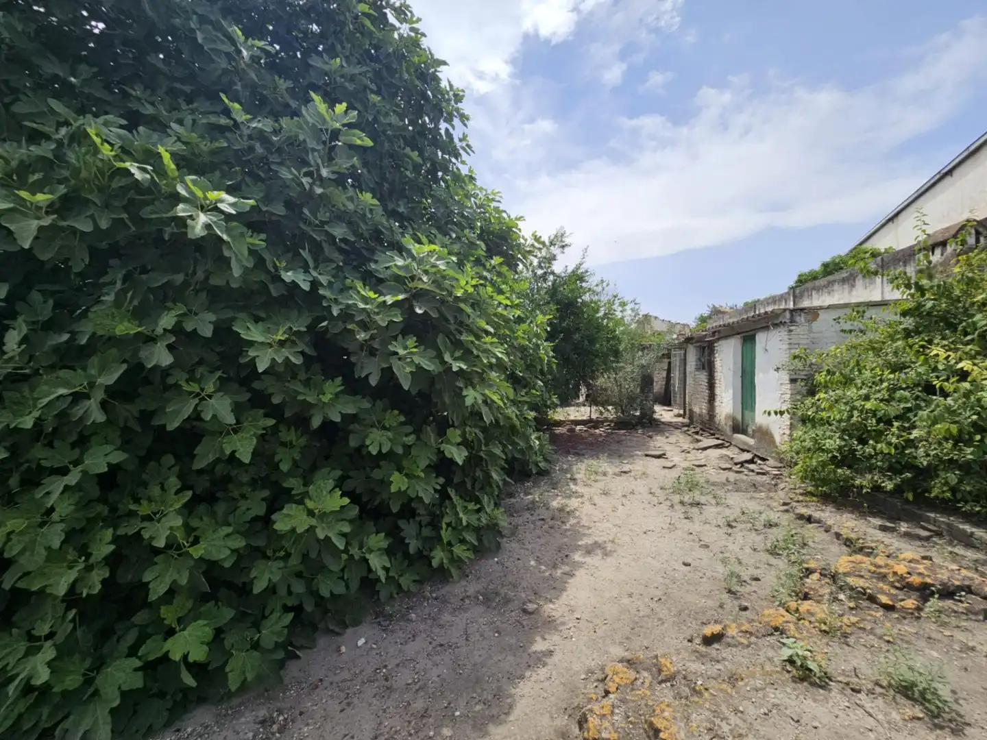 Casa o chalet en venta en Benamejí con Trastero y Balcón