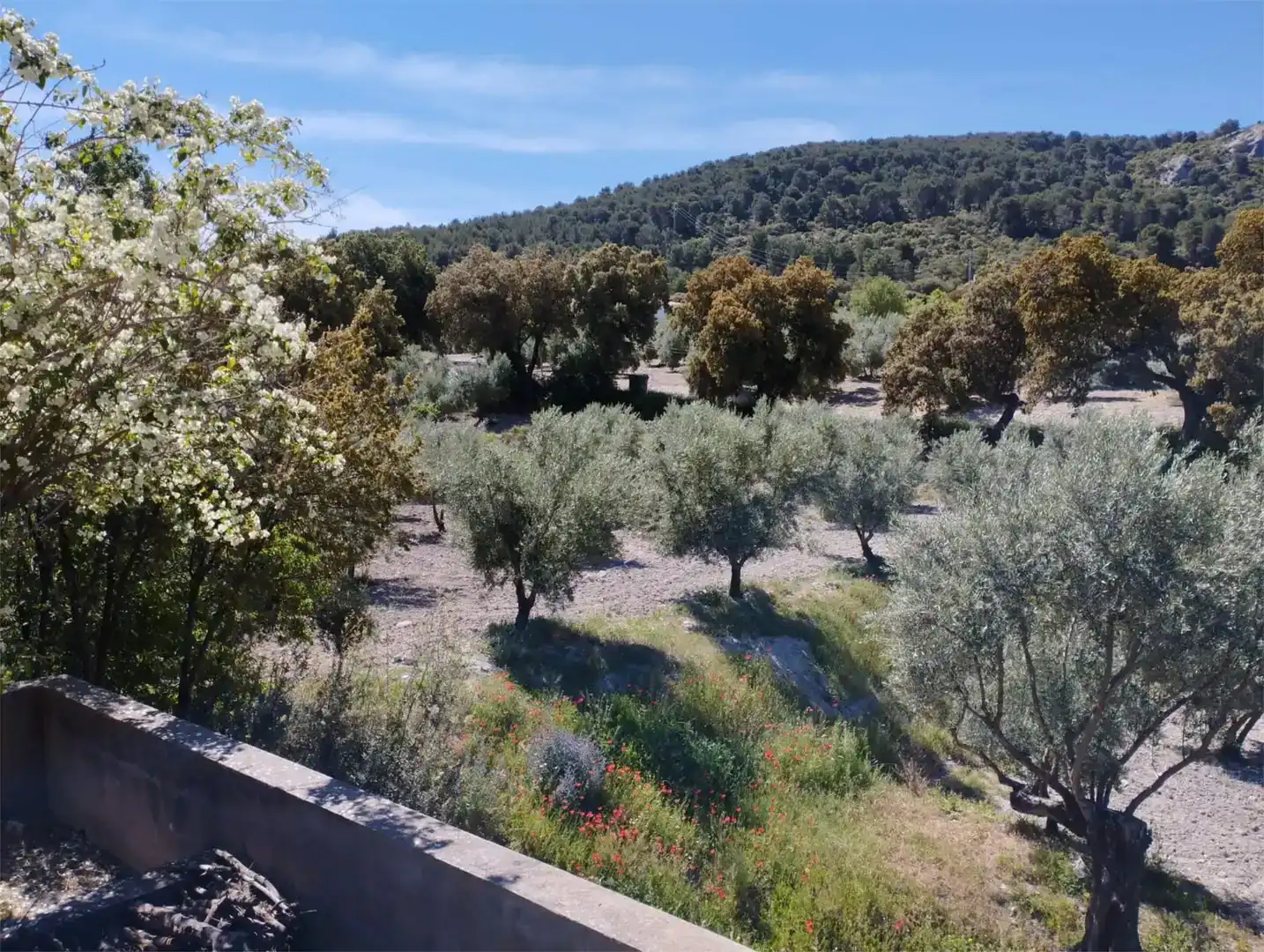 Piso en venta en Pozo Alcón