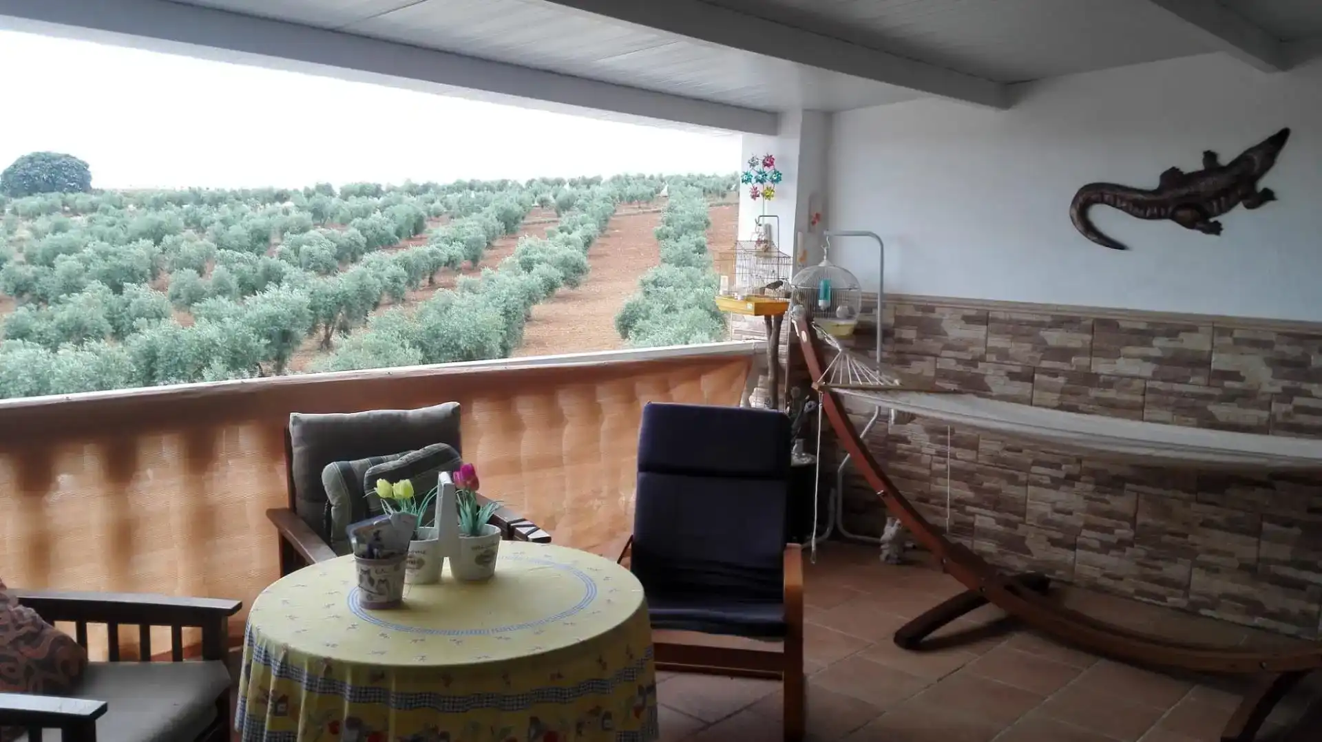 Terraza de Casa adosada en venta en San Pedro de Mérida, Badajoz