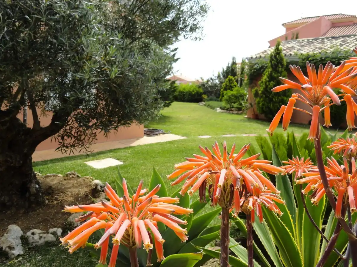 Villa con piscina in vendita a Avenida del Fuego 35, imagen 12