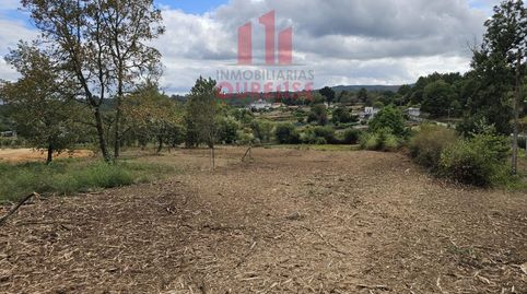 CONJUNTO DE PARCELAS EN LA ZONA DE MOREIRAS, PRÓXIMA A LA VALENZÁ., imatge 3
