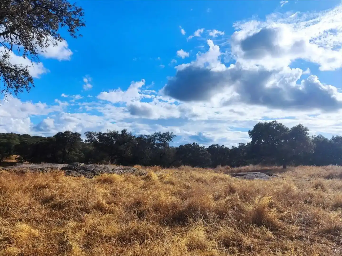 Terreno en venta en Santa Olalla del Cala