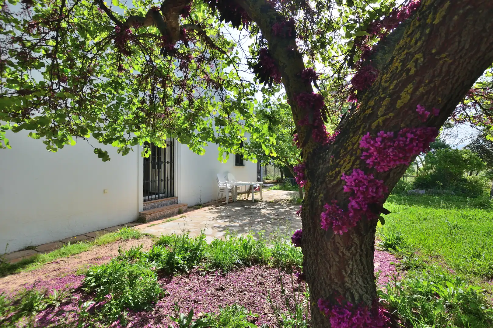 Villa mit Terrasse zum Verkauf in Partidas Norte, imagen 2