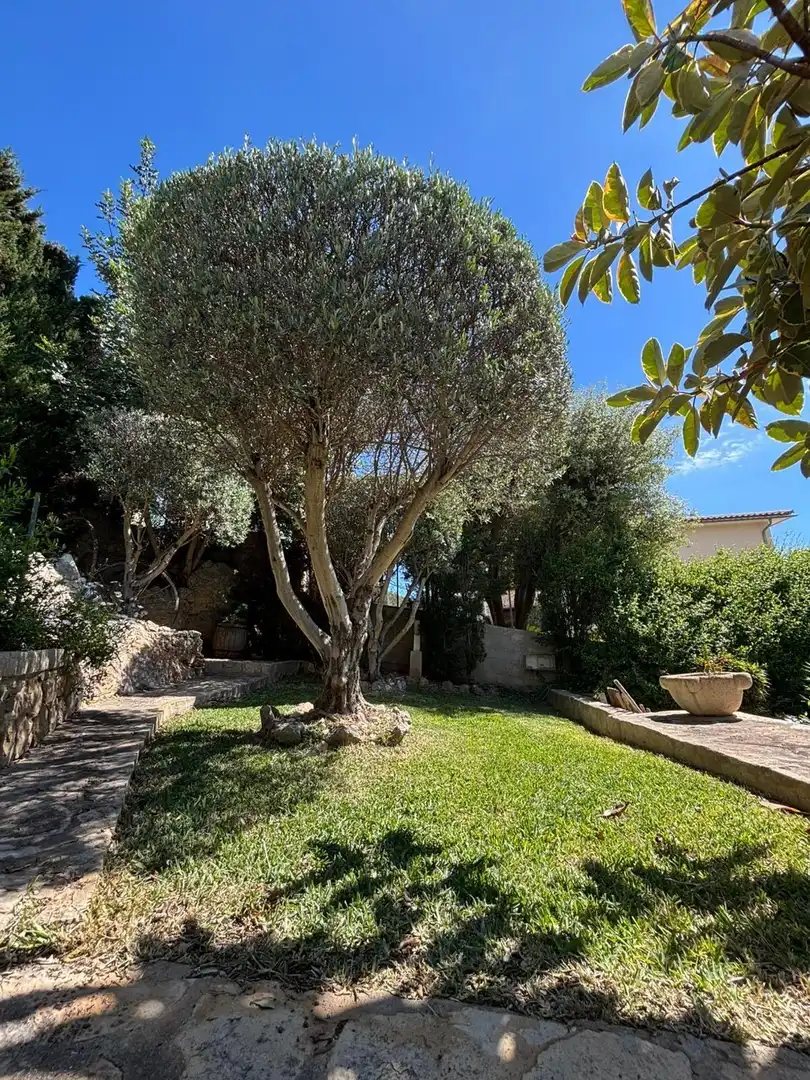 Chalet con terraza en venta en Son Amonda - Reis Catòlics, imagen 30