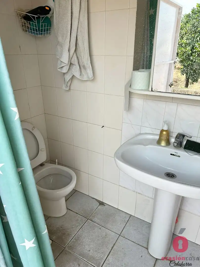 Bany de Finca rústica en venda en Córdoba amb Jardí privat, Terrassa i Traster