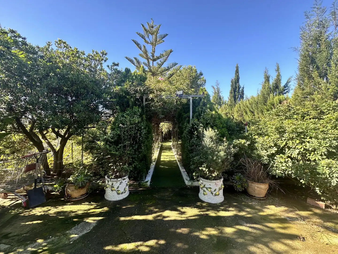 Villa in vendita a Alfara de la Baronia, imagen 72