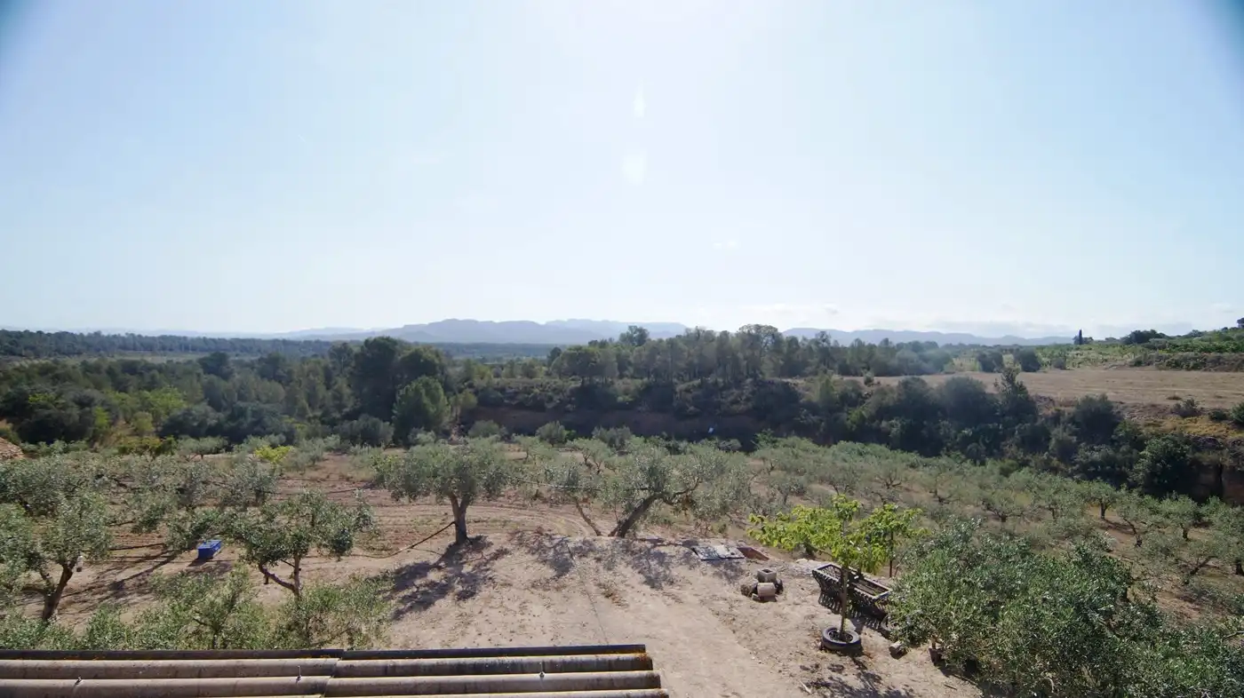 Finca rústica en venda a Miravet