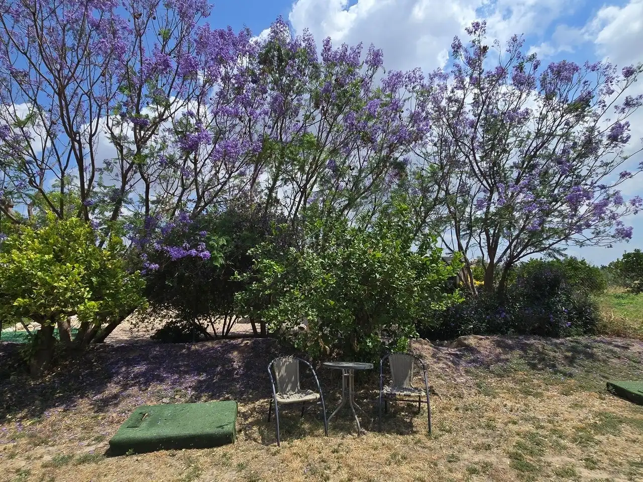Jardín de Casa o chalet en venta en Zurgena con Aire acondicionado y Piscina