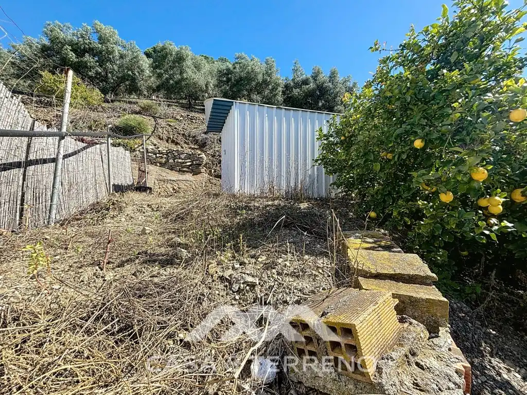 Detached house with pool for sale in Diseminados Cerrillo El, imagen 52