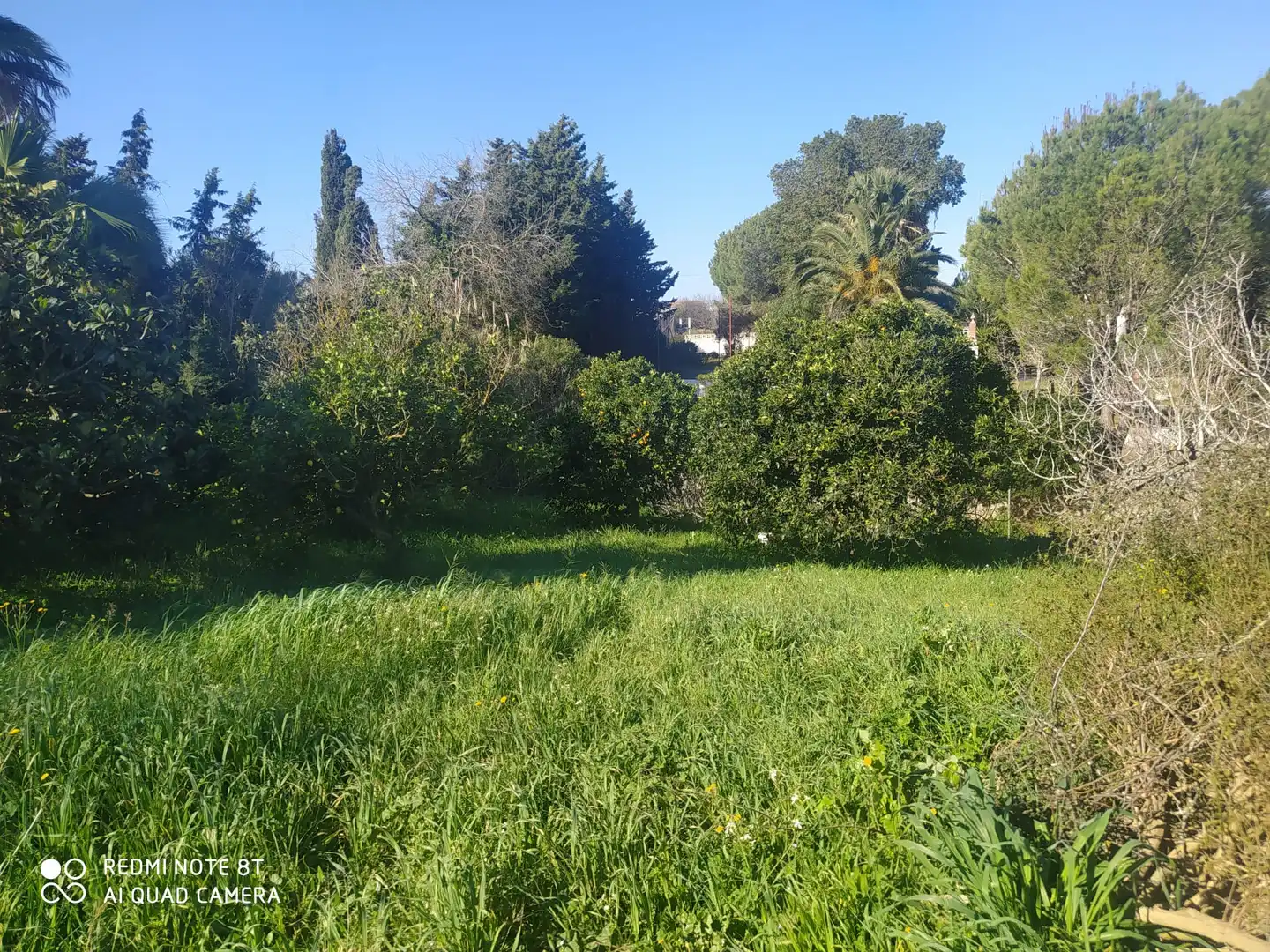 Houses for sale in Chiclana de la Frontera  with Private garden, Terrace and Storage room