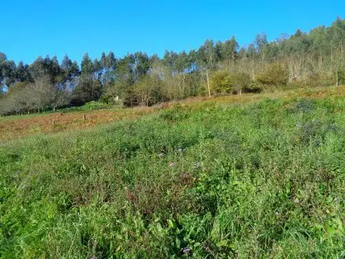 Terreno rustico in vendita a Parroquias suroccidentales, imagen 21